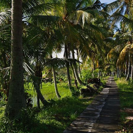 Satori Villas Bali Ubud Eksteriør bilde