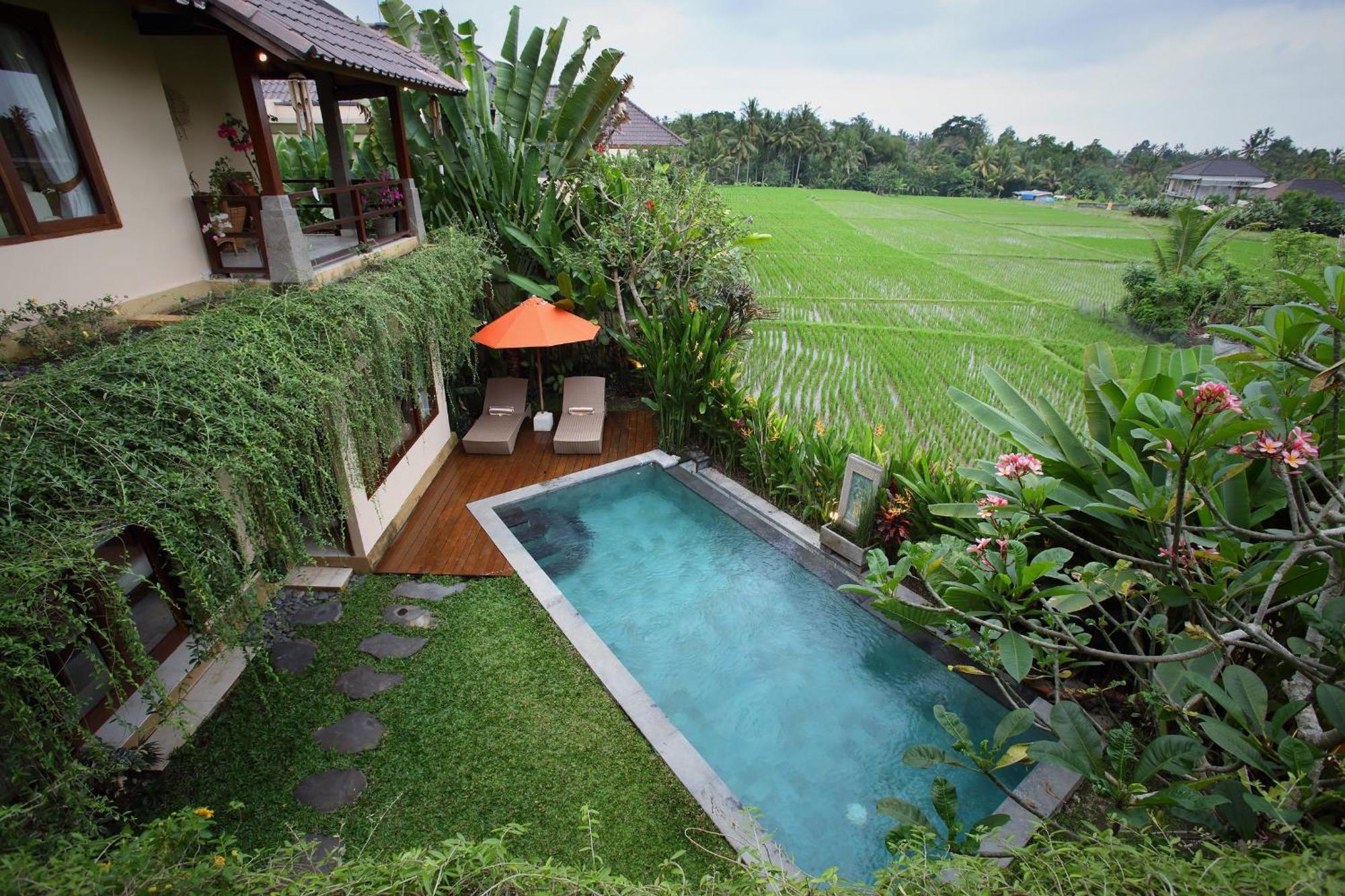 Satori Villas Bali Ubud Rom bilde