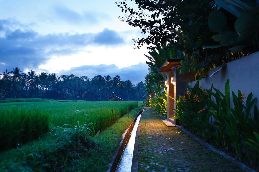 Satori Villas Bali Ubud Eksteriør bilde