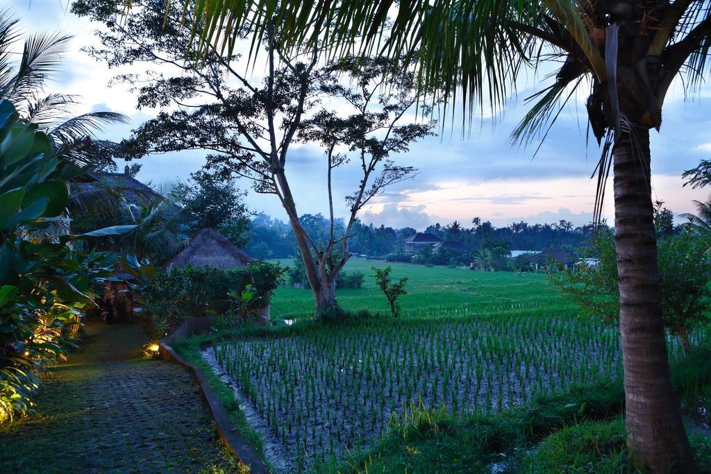 Satori Villas Bali Ubud Eksteriør bilde