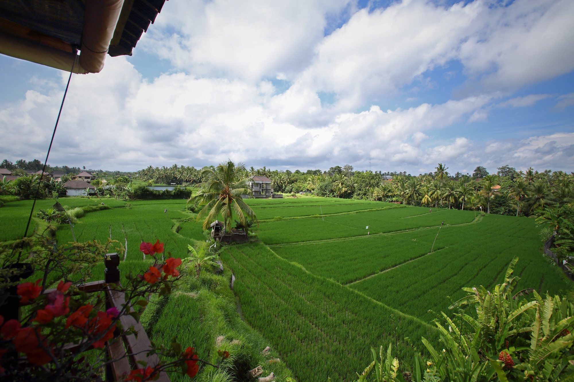 Satori Villas Bali Ubud Eksteriør bilde